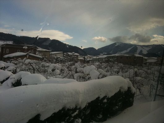 20110126_01.jpg