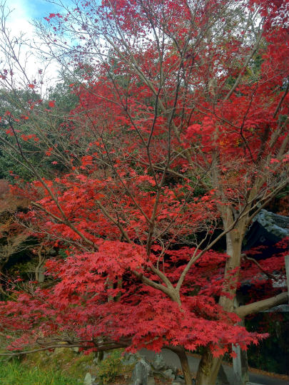 20111205_01.jpg